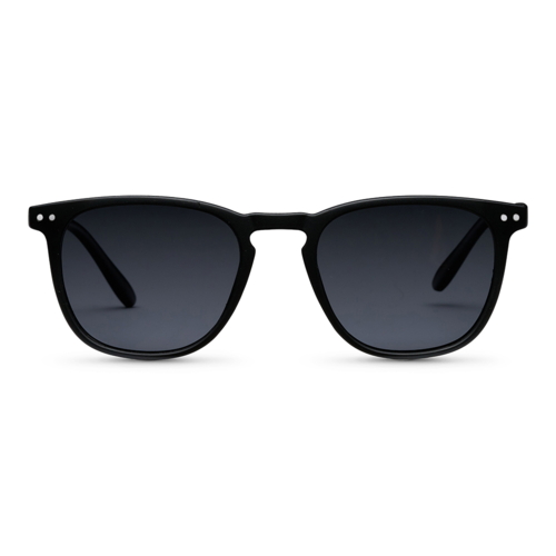 Klassisk solbrille med polaroide linser til damer og herrer.