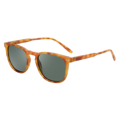 Unisex solbrille med skildpaddeorange stel og grønne linser.