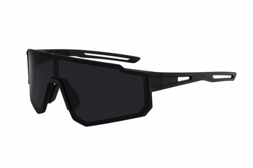 Polaroid solbrille med sort linser