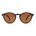 Runde solbriller Wayfarer design med brune linser