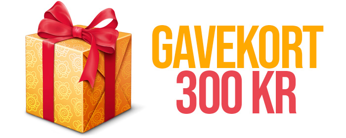 Gavekort 300 kr