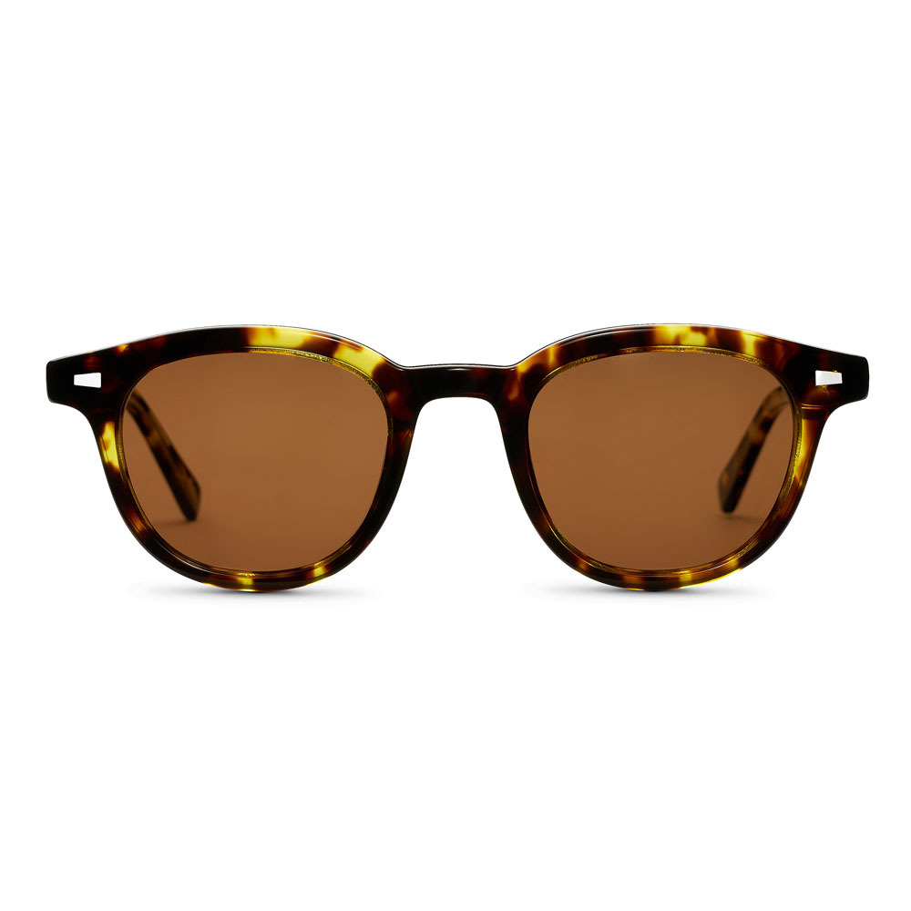 Jungle | Wayfarer Solbriller - Polaroid