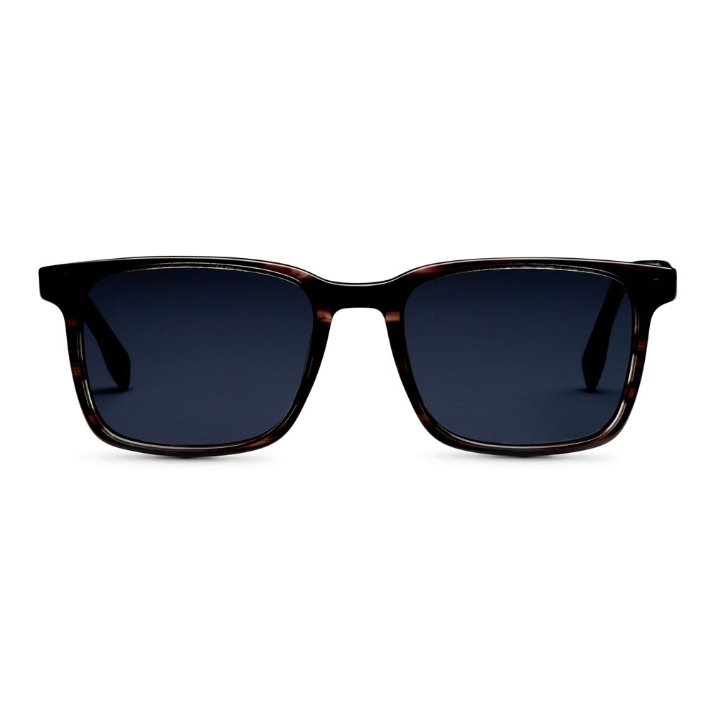 Thunder | Wayfarer Solbriller - Polaroid