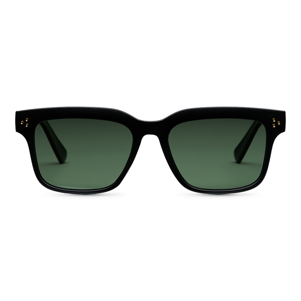Oriental | Wayfarer Solbriller - Polaroid